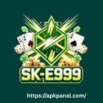 SK E999 Game